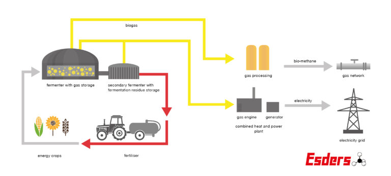 Measuring Biogas - Basics And Personal Protection - Esders GmbH